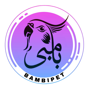 بامبی پت