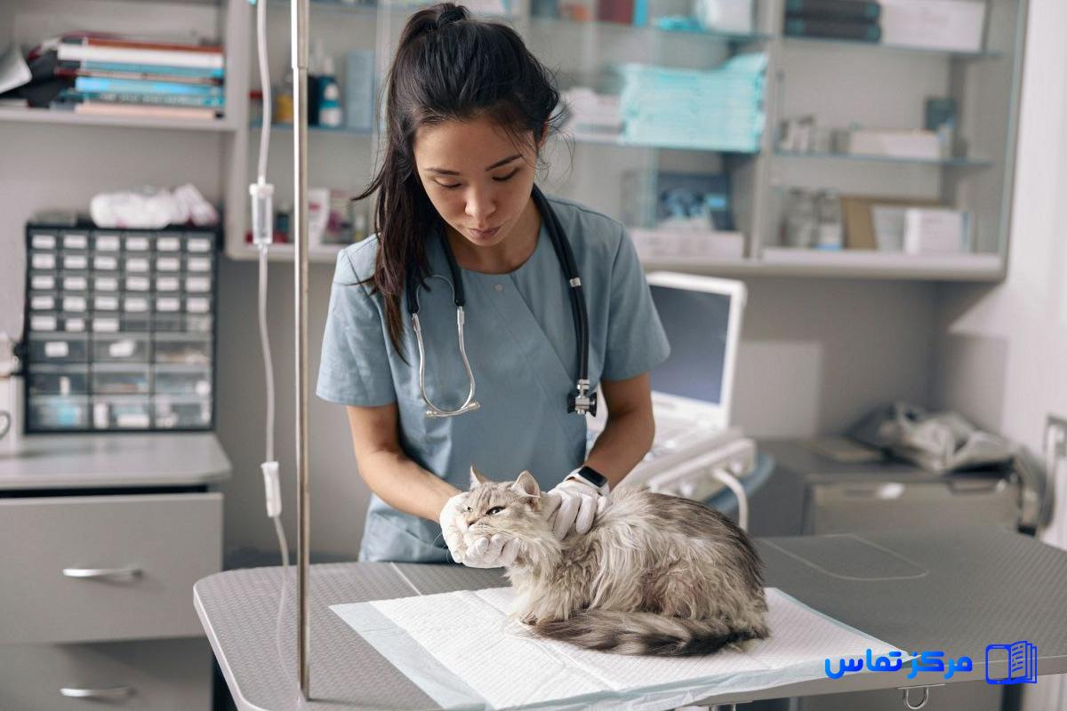 استخدام دامپزشک در کشور عراق شهر اربیل