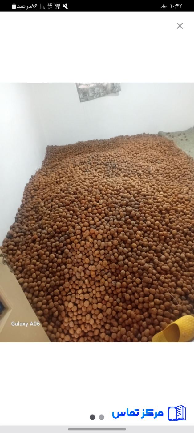 فروش گردو پوست کاغذی تمام مغز خارجی